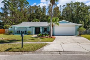 16713 FOOTHILL DRIVE, TAMPA, FL 33624 Sold 12/16/24