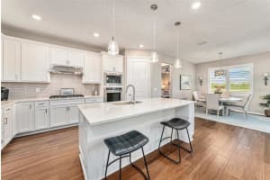 5905 SHOREBIRD BRANCH, LAND O LAKES, FL 34638 Sold 03/17/25