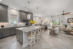 3105 SATILLA LOOP, ODESSA, FL 33556 Sold 11/22/24