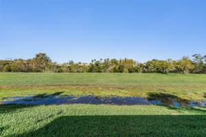 10520 COLLAR DRIVE, SAN ANTONIO, FL 33576 Sold 10/24/25