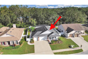 1220 LAVENDER JEWEL COURT, PLANT CITY, FL 33563 Sold 12/17/24