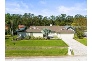 13916 PEPPERRELL DRIVE, TAMPA, FL 33624 Sold 12/16/24