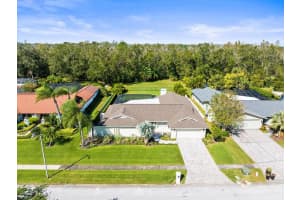 13916 PEPPERRELL DRIVE, TAMPA, FL 33624 Sold 12/16/24