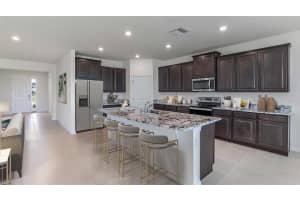 10502 BRIDGEGATE HEIGHTS LOOP, SAN ANTONIO, FL 33576 Sold 06/10/25