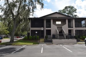 14724 NORWOOD OAKS DRIVE, TAMPA, FL 33613 Sold 02/24/25