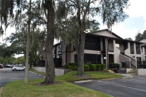 14724 NORWOOD OAKS DRIVE, TAMPA, FL 33613 Sold 02/24/25