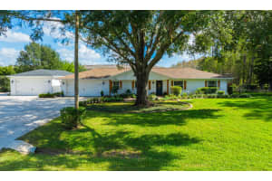 17320 RAINTREE ROAD, LUTZ, FL 33558 Sold 01/07/25