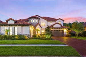 8414 DUNHAM STATION DRIVE, TAMPA, FL 33647 - MLS#MFRTB8314841