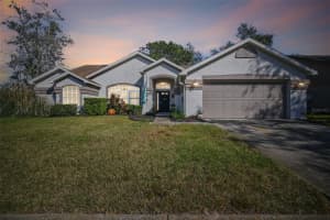 4936 MUSSELSHELL DRIVE, NEW PORT RICHEY, FL 34655 Sold 04/18/25