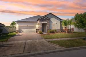 8025 ROMA DUNE DRIVE, WESLEY CHAPEL, FL 33545 Sold 03/24/25