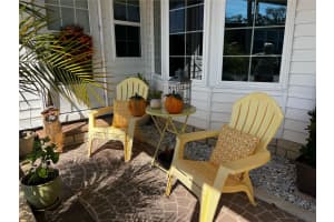231 RED OAK DRIVE, PALM HARBOR, FL 34684 Sold 02/10/25