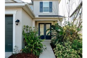 16311 HYDE MANOR DRIVE, TAMPA, FL 33647 Sold 12/02/24