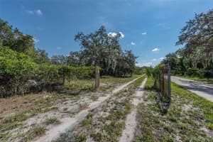 12154 BULLFROG CREEK ROAD, GIBSONTON, FL 33534 - MLS#MFRTB8315033
