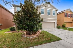 20213 AUTUMN FERN AVENUE, TAMPA, FL 33647 Sold 03/27/25