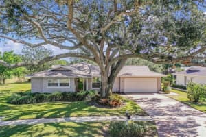 166 Stafford Cir, Palm Harbor, FL 34684, Sold 12/03/24