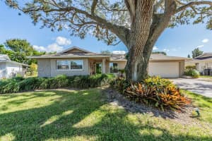 166 Stafford Cir, Palm Harbor, FL 34684, Sold 12/03/24