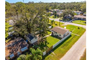 7609 ALVINA STREET, TAMPA, FL 33625 Sold 01/03/25