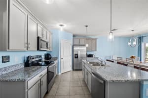15502 BLACK PEPPER LANE, ODESSA, FL 33556 Sold 06/13/25