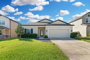 30827 PARROT REEF COURT, WESLEY CHAPEL, FL 33545 Sold 03/10/25
