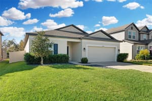 30827 PARROT REEF COURT, WESLEY CHAPEL, FL 33545 Sold 03/10/25
