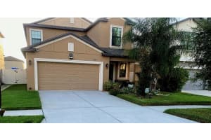 4326 GLOBE THISTLE DRIVE, TAMPA, FL 33619 Sold 12/23/24
