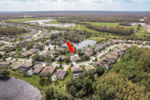 8817 CRYSTAL CREEK COURT, LAND O LAKES, FL 34638 Sold 02/06/25