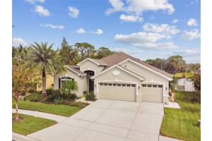 3355 DIAMOND FALLS CIRCLE, LAND O LAKES, FL 34638 Sold 12/18/24