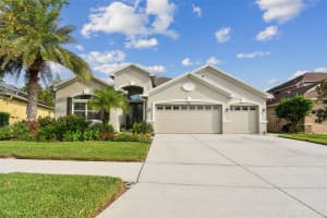 3355 DIAMOND FALLS CIRCLE, LAND O LAKES, FL 34638 Sold 12/18/24