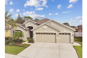 3355 DIAMOND FALLS CIRCLE, LAND O LAKES, FL 34638 Sold 12/18/24