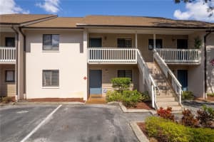 3713 CHAMPAGNE DRIVE, TAMPA, FL 33618 Sold 03/04/25