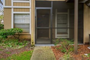 14323 HANGING MOSS CIRCLE, TAMPA, FL 33613 - MLS#MFRTB8315520