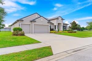 913 BUCKHURST DRIVE, SPRING HILL, FL 34609 - MLS#MFRTB8315532