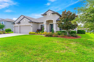 913 BUCKHURST DRIVE, SPRING HILL, FL 34609 - MLS#MFRTB8315532