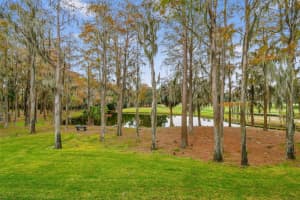 36750 US HIGHWAY 19 N #02205, PALM HARBOR, FL 34684 Sold 03/18/25