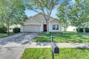 6023 BLUE SAGE DRIVE, LAND O LAKES, FL 34639 Sold 03/17/25