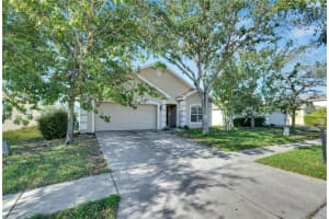 6023 BLUE SAGE DRIVE, LAND O LAKES, FL 34639 Sold 03/17/25