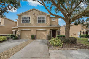 11811 CASTINE STREET, NEW PORT RICHEY, FL 34654 Sold 02/27/25