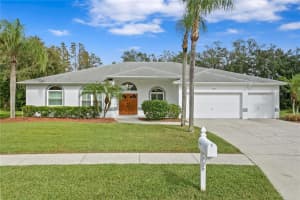 23051 CYPRESS TRAIL DRIVE, LUTZ, FL 33549 Sold 12/17/24