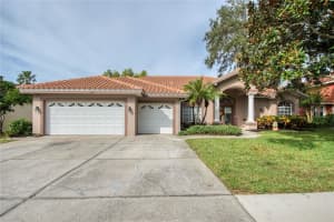 246 OLD OAK CIRCLE, PALM HARBOR, FL 34683 Sold 05/05/25