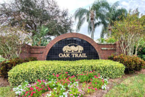 246 OLD OAK CIRCLE, PALM HARBOR, FL 34683 Sold 05/05/25
