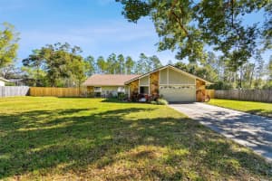 17615 WILLOW CREEK BOULEVARD, LUTZ, FL 33549 Sold 02/21/25