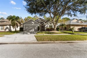 12531 SPARKLEBERRY ROAD, TAMPA, FL 33626 Sold 12/27/24