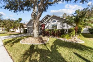 12531 SPARKLEBERRY ROAD, TAMPA, FL 33626 Sold 12/27/24