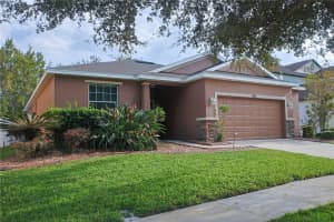 2356 LIVORNO WAY, LAND O LAKES, FL 34639 Sold 03/10/25