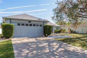 11350 ANDY DRIVE, RIVERVIEW, FL 33569 Sold 12/16/24