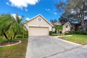 3023 SPRING OAK AVENUE, PALM HARBOR, FL 34684 Sold 01/27/25