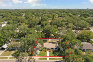 4114 EMPEDRADO STREET, TAMPA, FL 33629 Sold 12/17/24