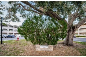 2228 SWEDISH DRIVE, CLEARWATER, FL 33763 Sold 01/31/25