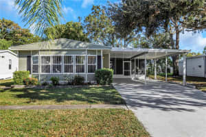 217 LAKE TARPON DRIVE, PALM HARBOR, FL 34684 Sold 05/22/25