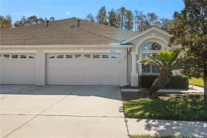 2734 TANGLEWYLDE DRIVE, LAND O LAKES, FL 34638 Sold 01/31/25